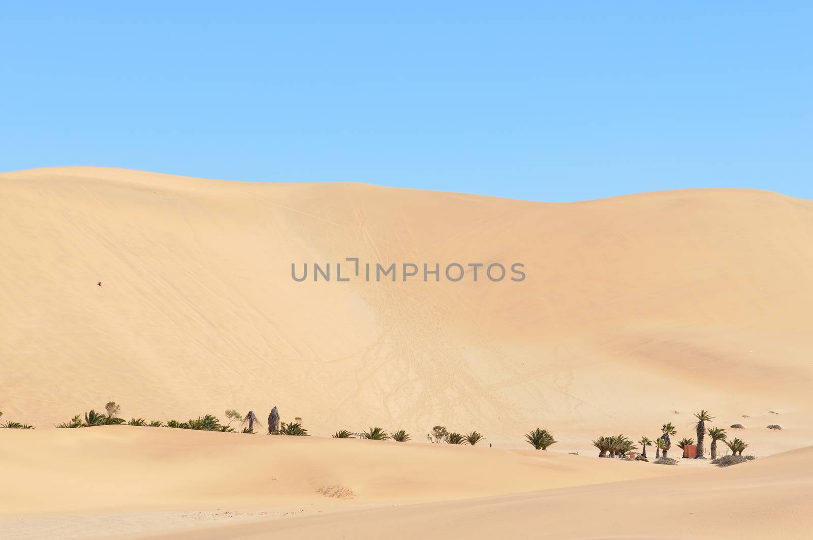 Dune 7 in the Namib desert near Walvisbaai, Namibia
