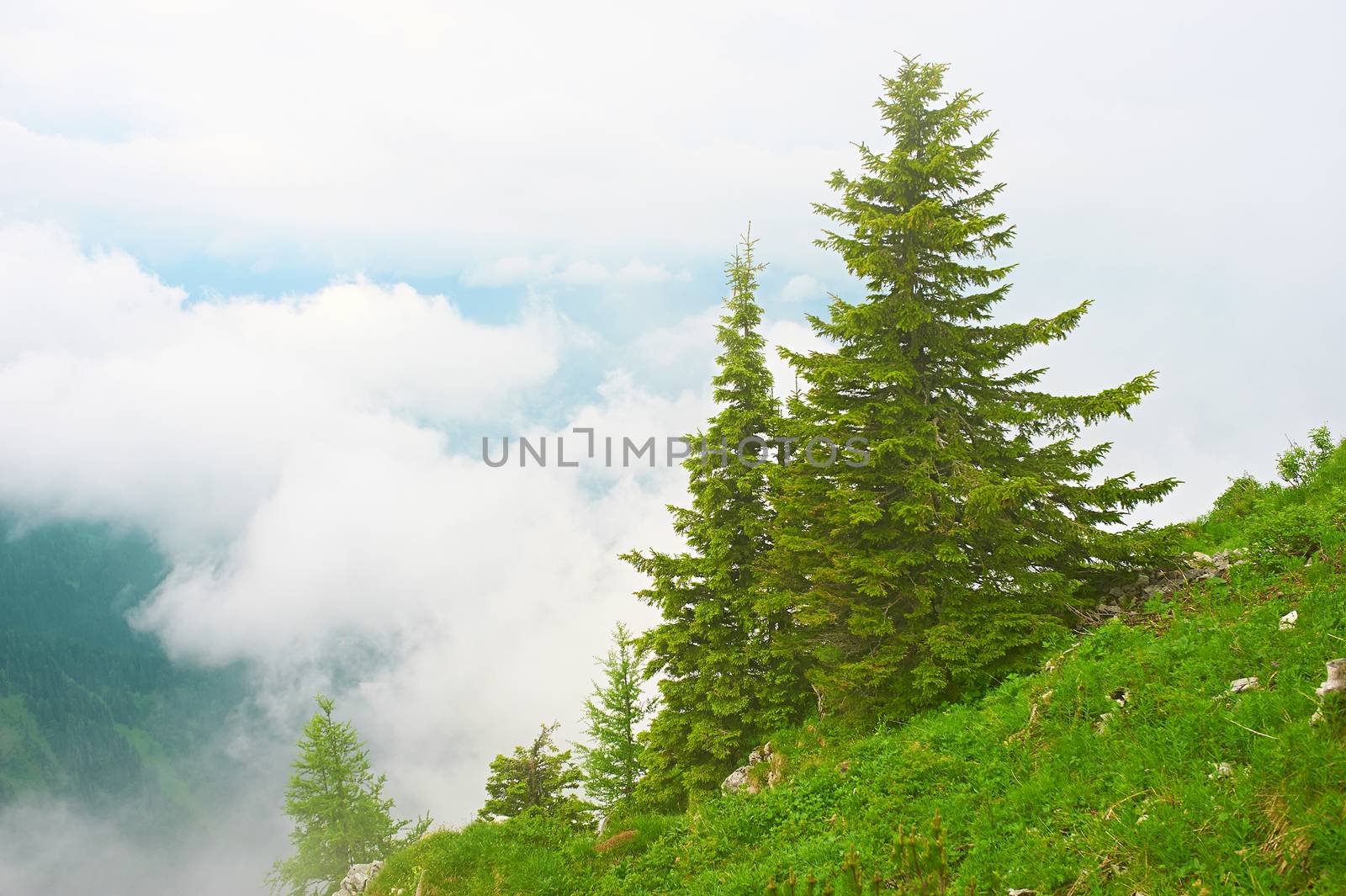 Bavarian landscape at Alps with low clouds