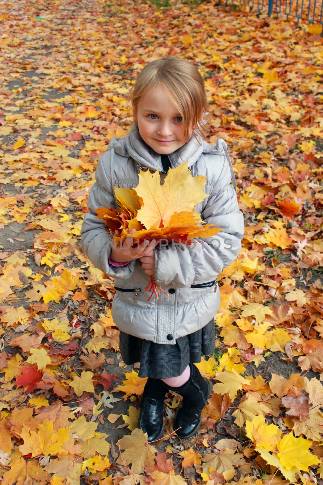little girl with yellow leaves standing in the park