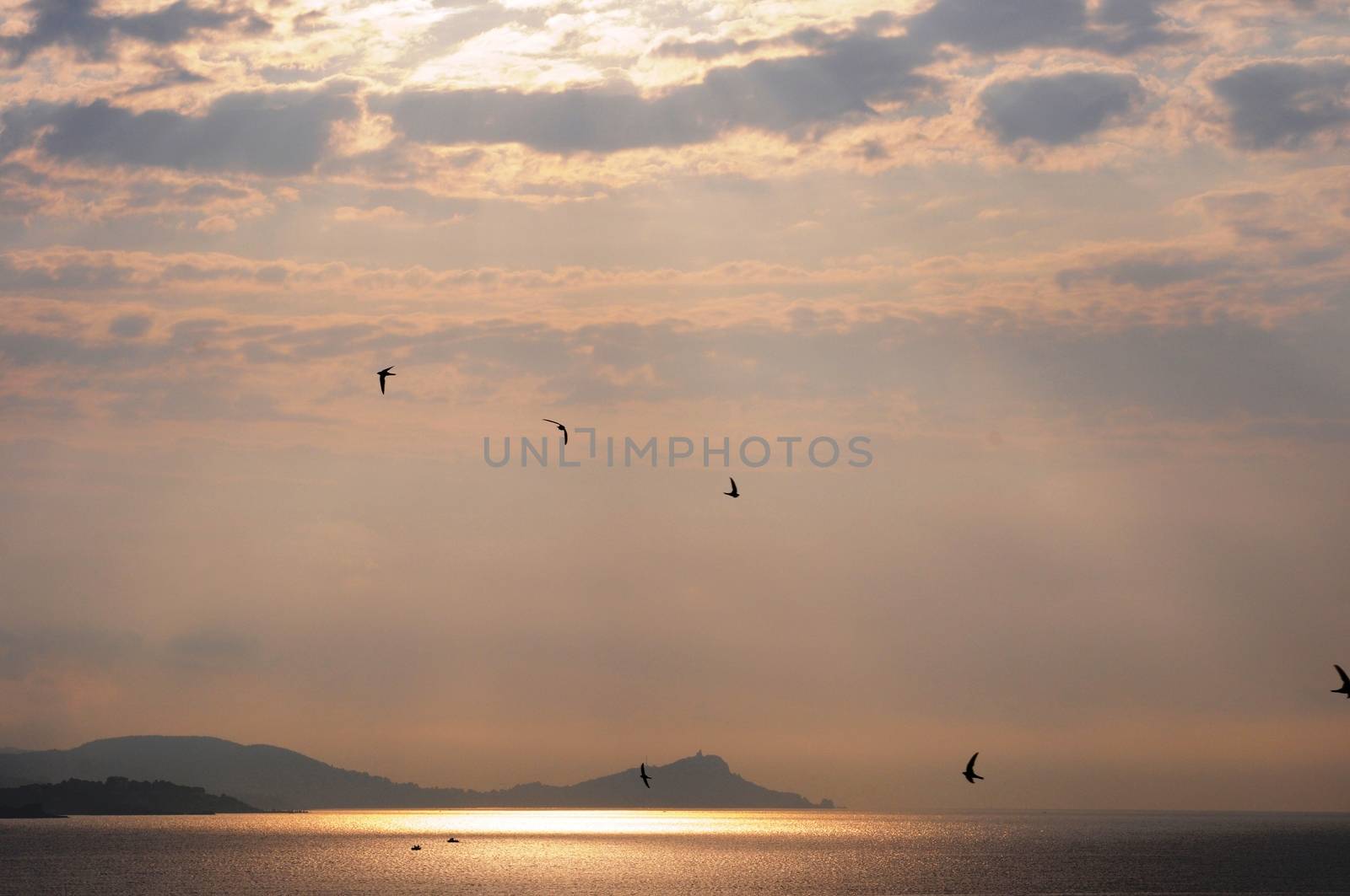 Peaceful sunlight with free birds by hilde_gulbrandsen