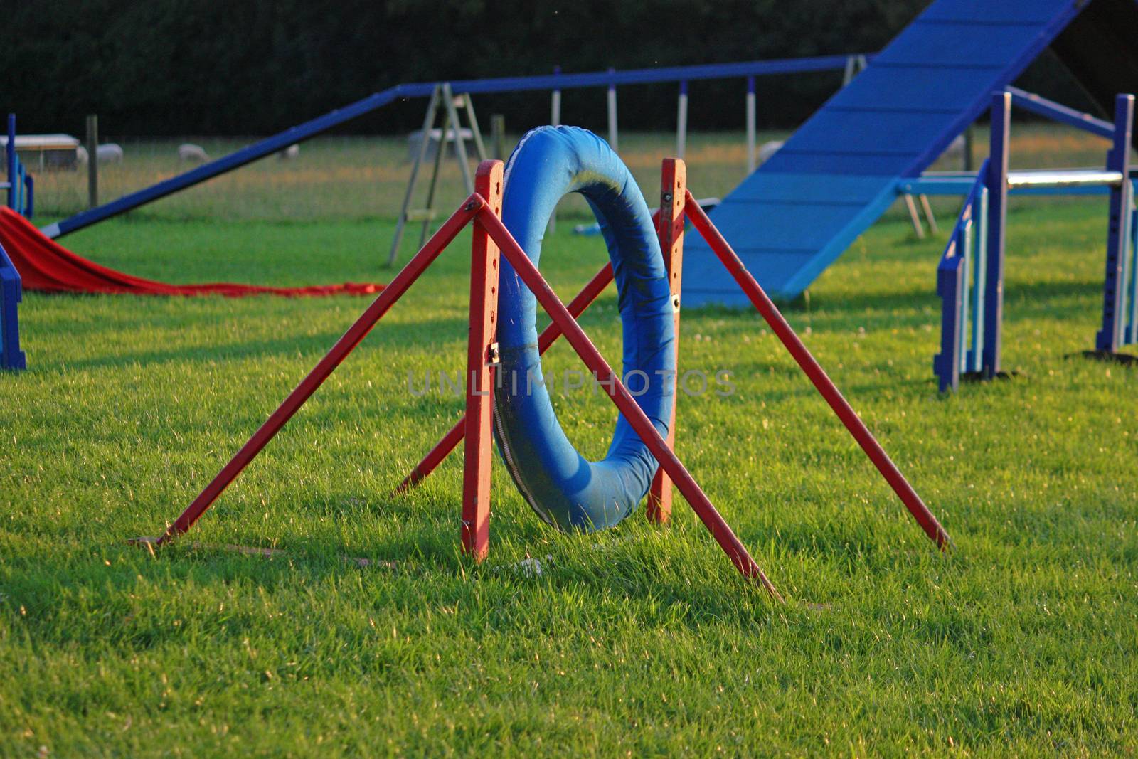 dog sport agility tyre equipment