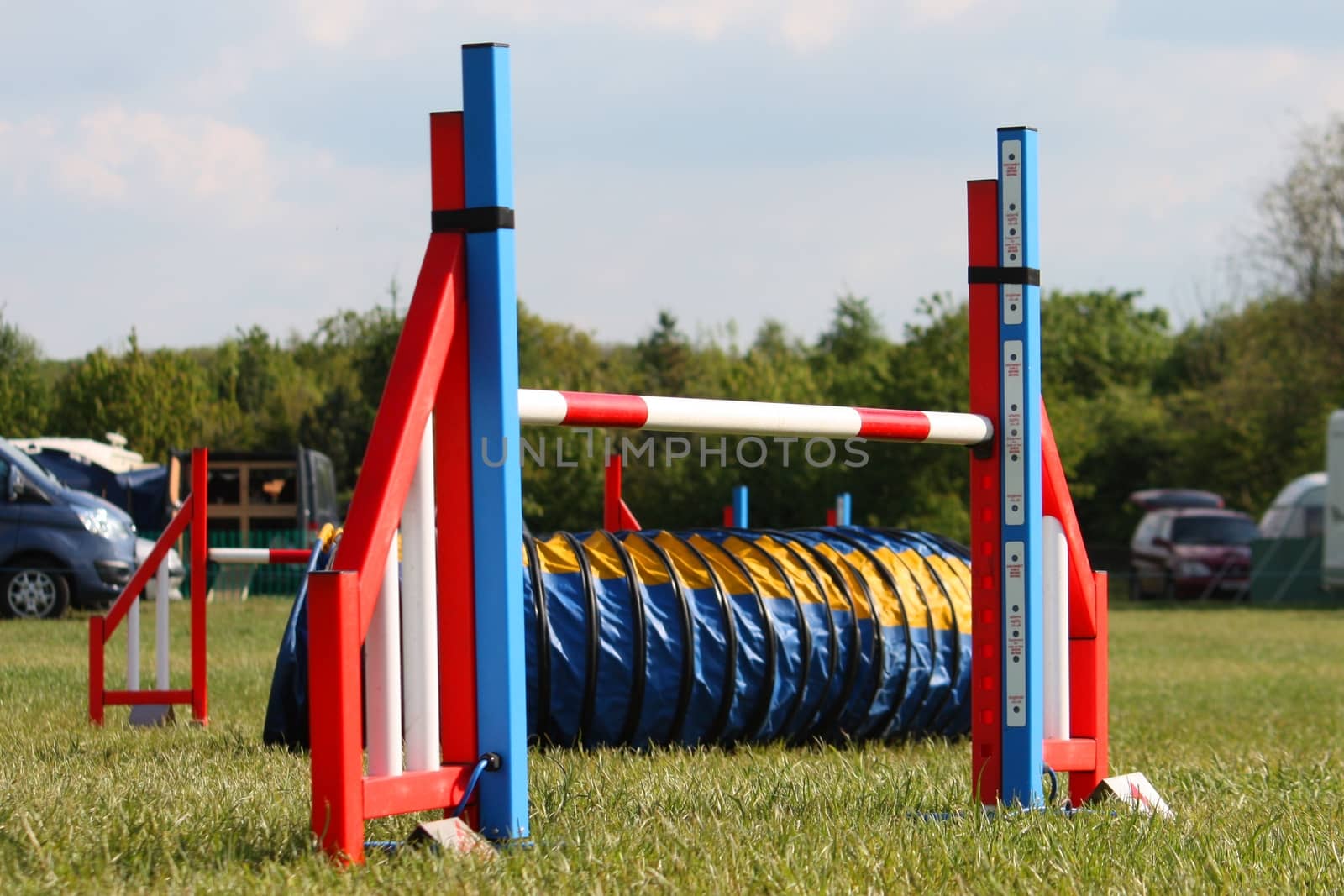 a brightly coloured dog agility sport jump