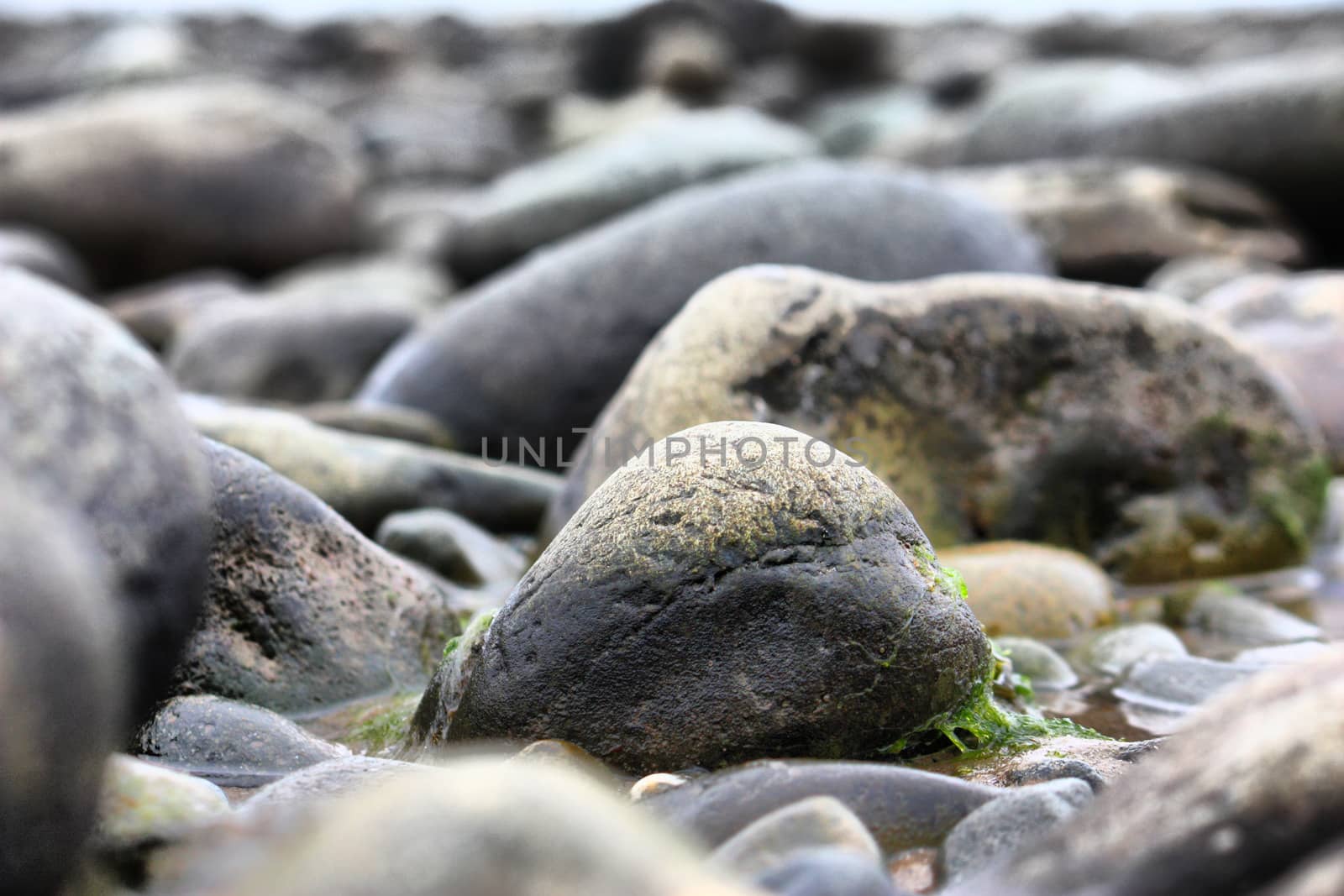 wet stones on a beach background by chrisga