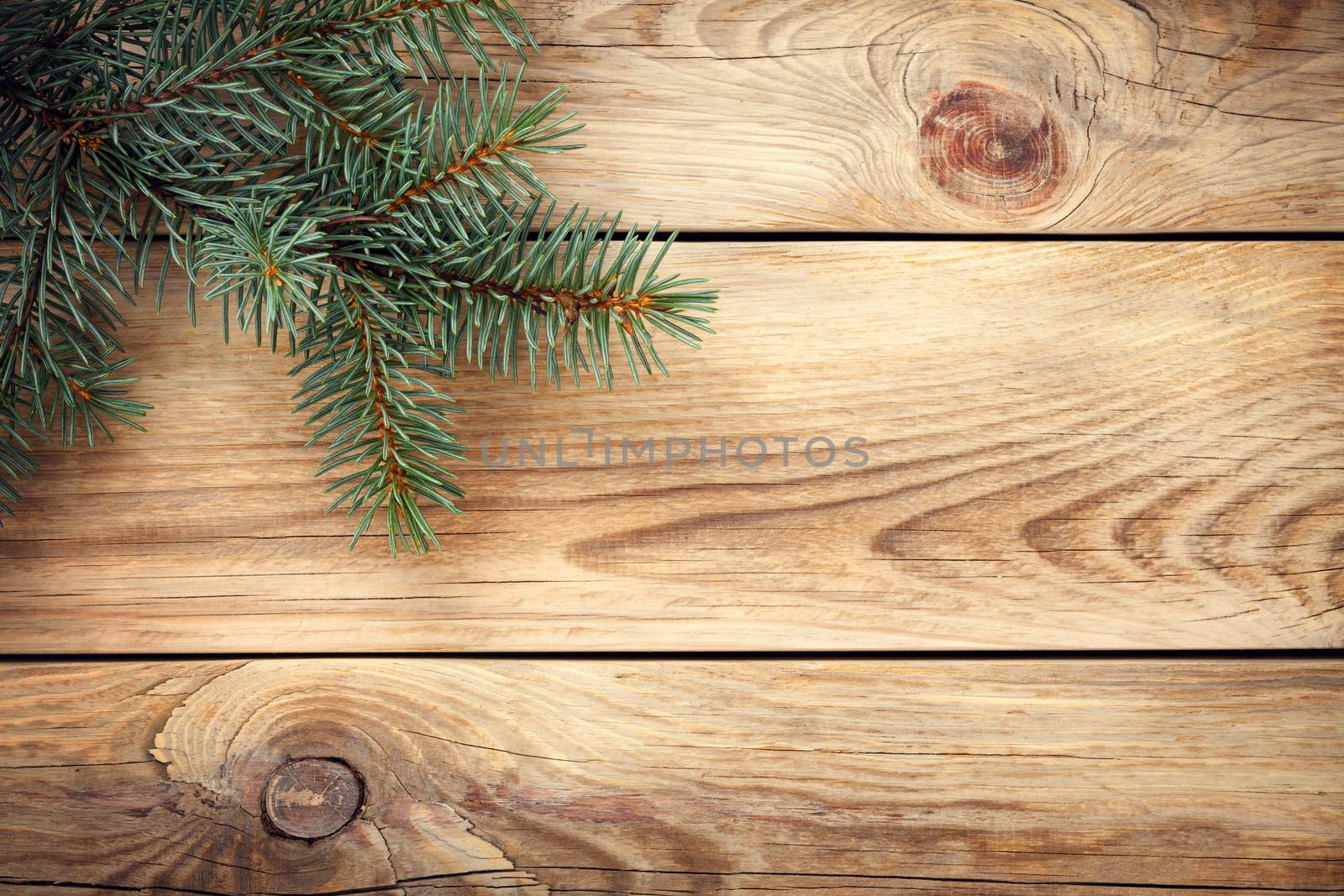 Christmas spruce tree on wooden table for holiday background. Copy space. Top view
