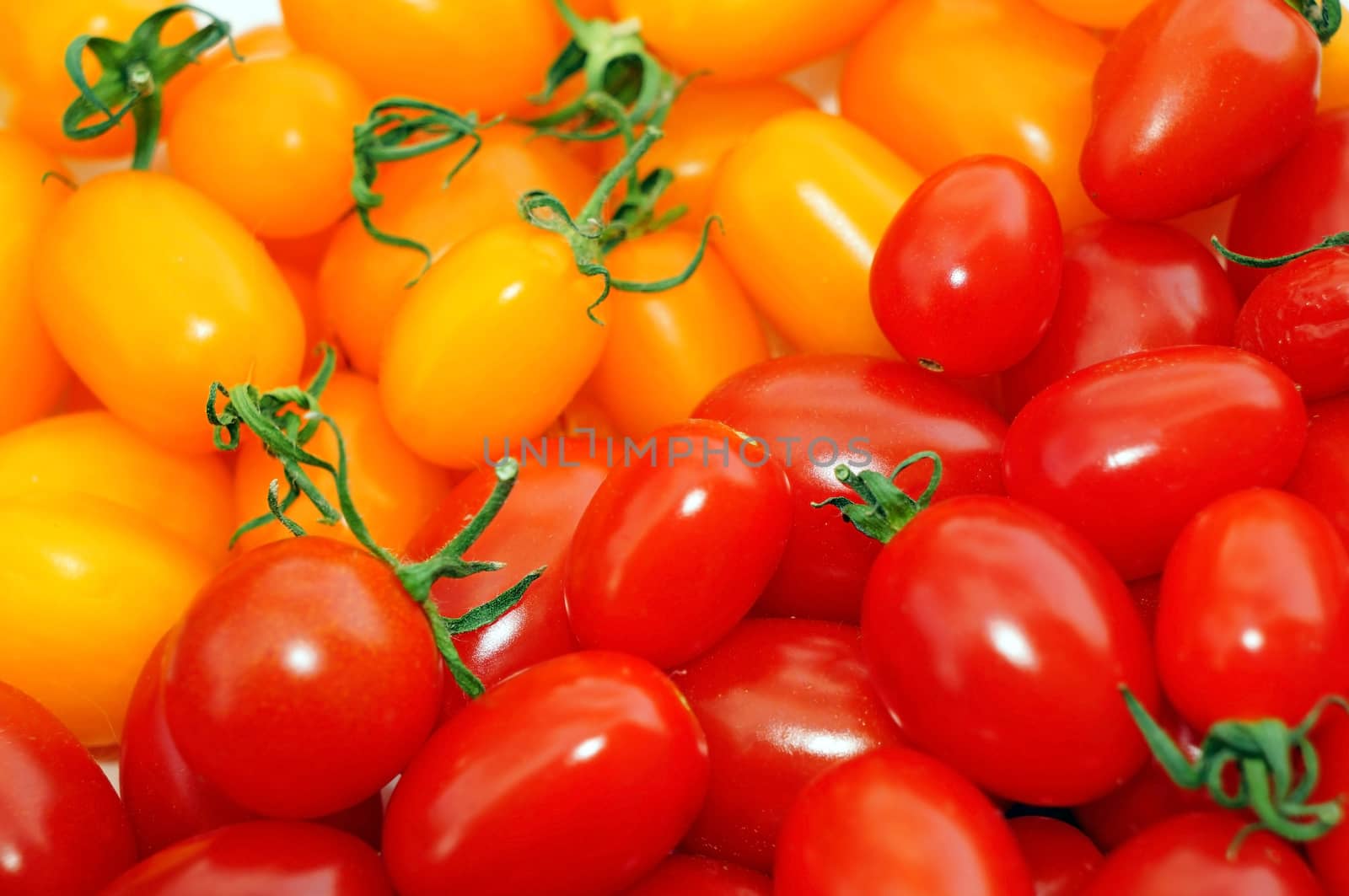 Red and yellow tomatoes cherry as background