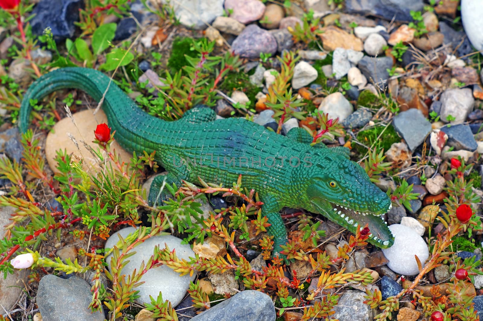 Plastic figure of a crocodile on the rock garden