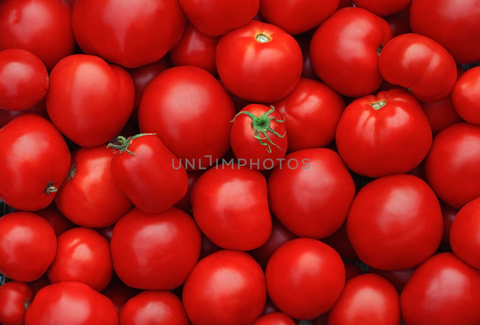 Red ripe tomatoes as background