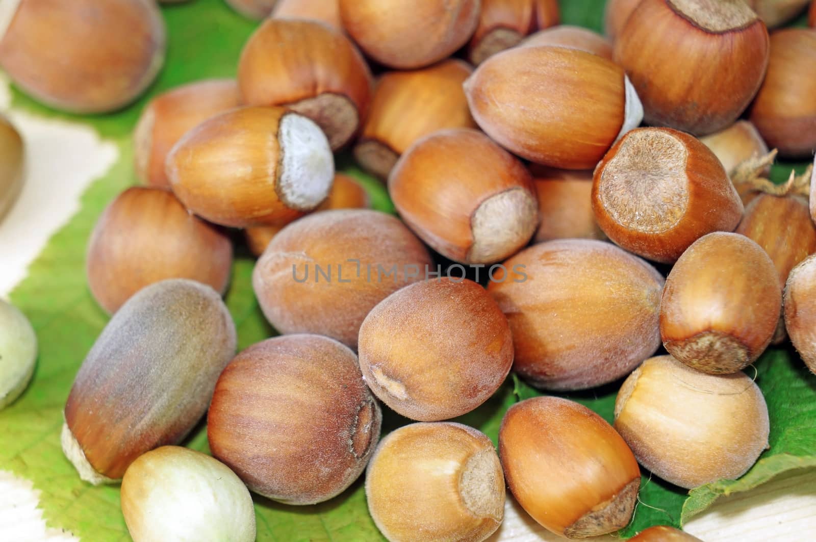 Hazelnuts close-up as background