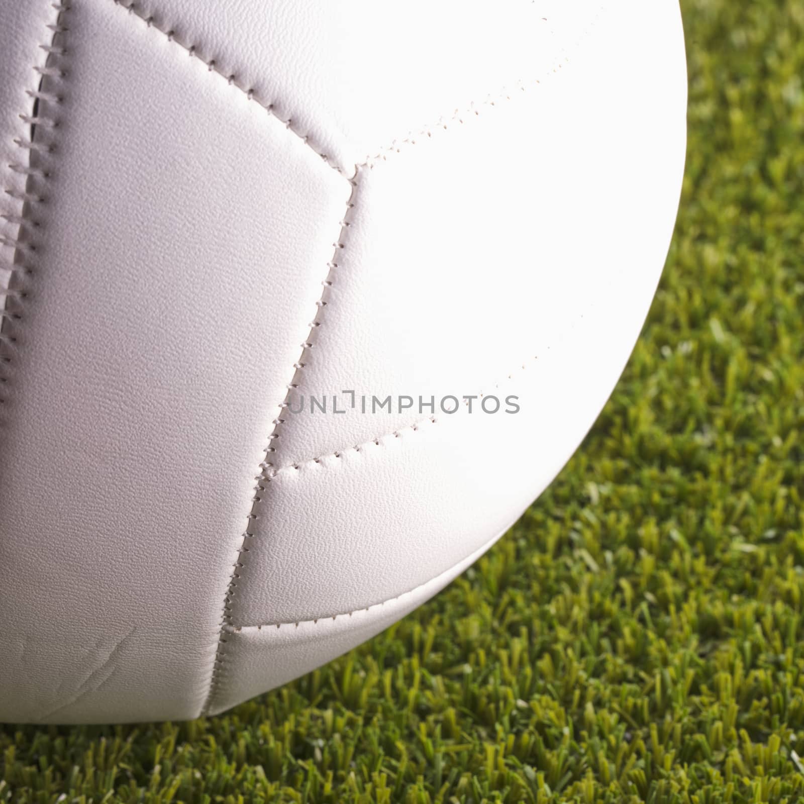 Volley ball over grass field, close up