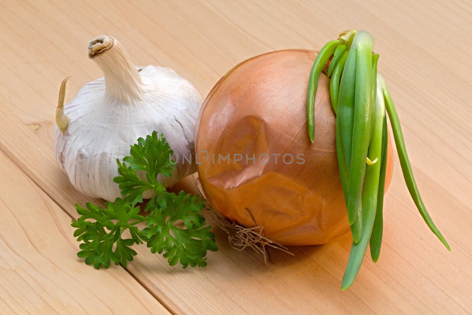 Photo shows details of various vegetable salad ingredients.