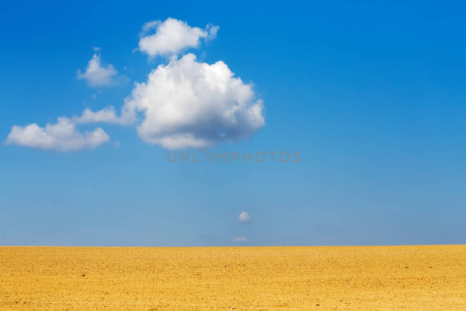 Nice autumn field with white cloud, horizont and blue sky