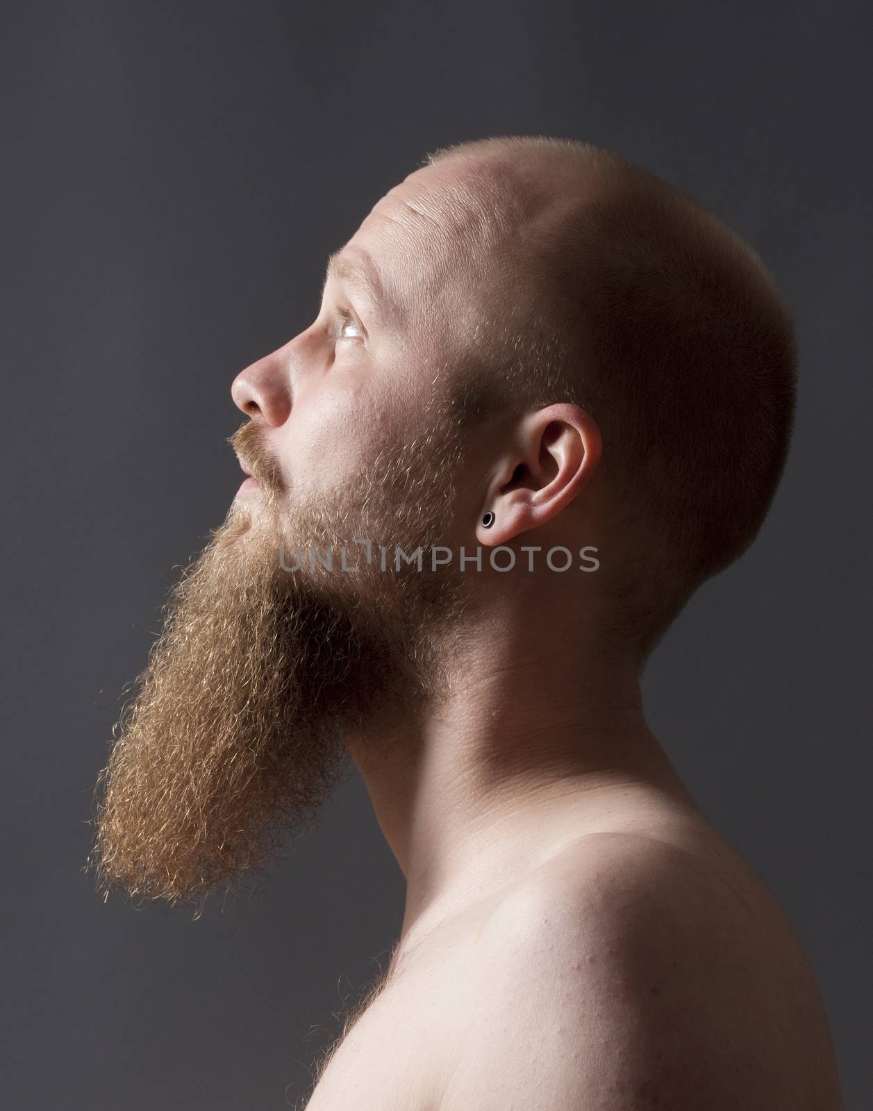 Man with Goatee Beard by courtyardpix