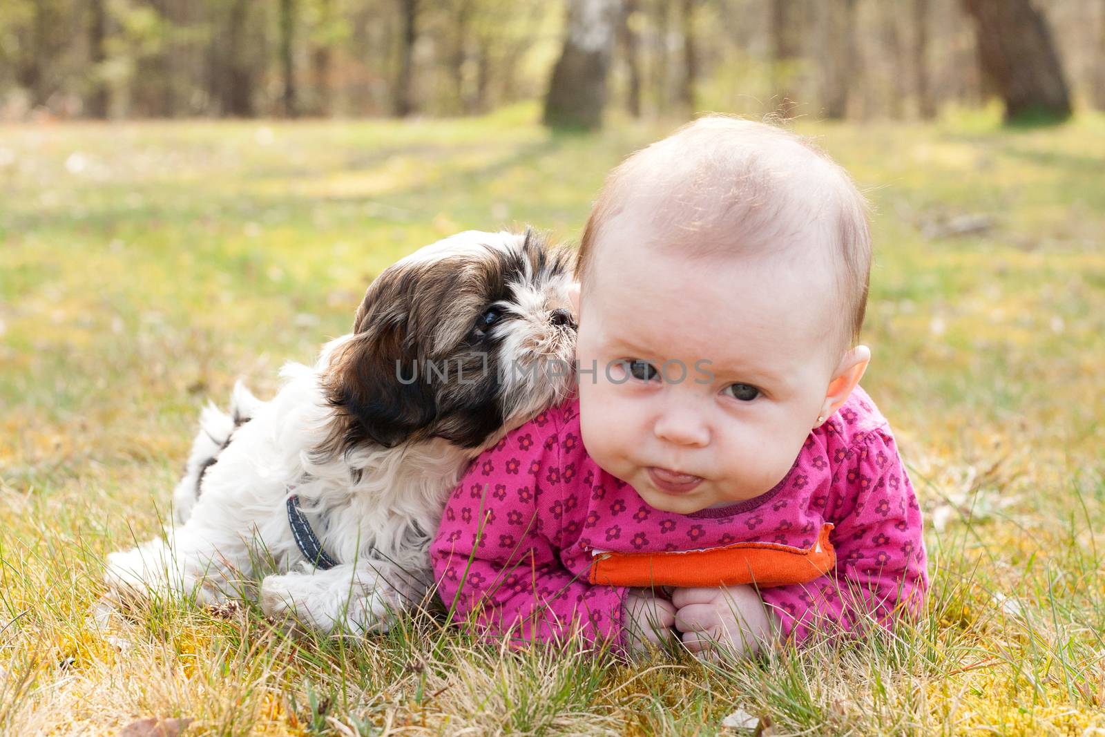 Baby and puppy on the grass by DNFStyle