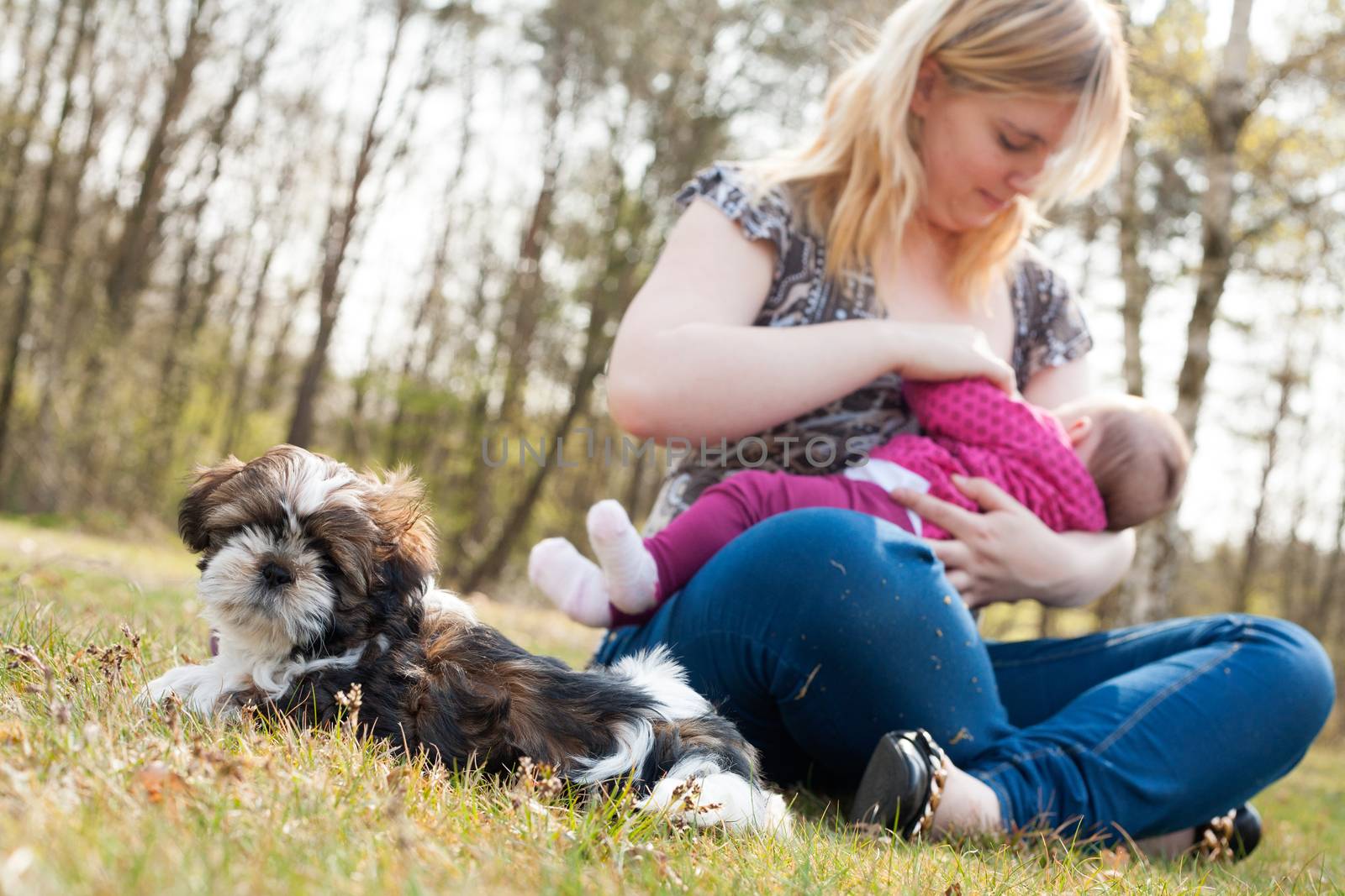 Mother is having a trip with the baby and dog outside