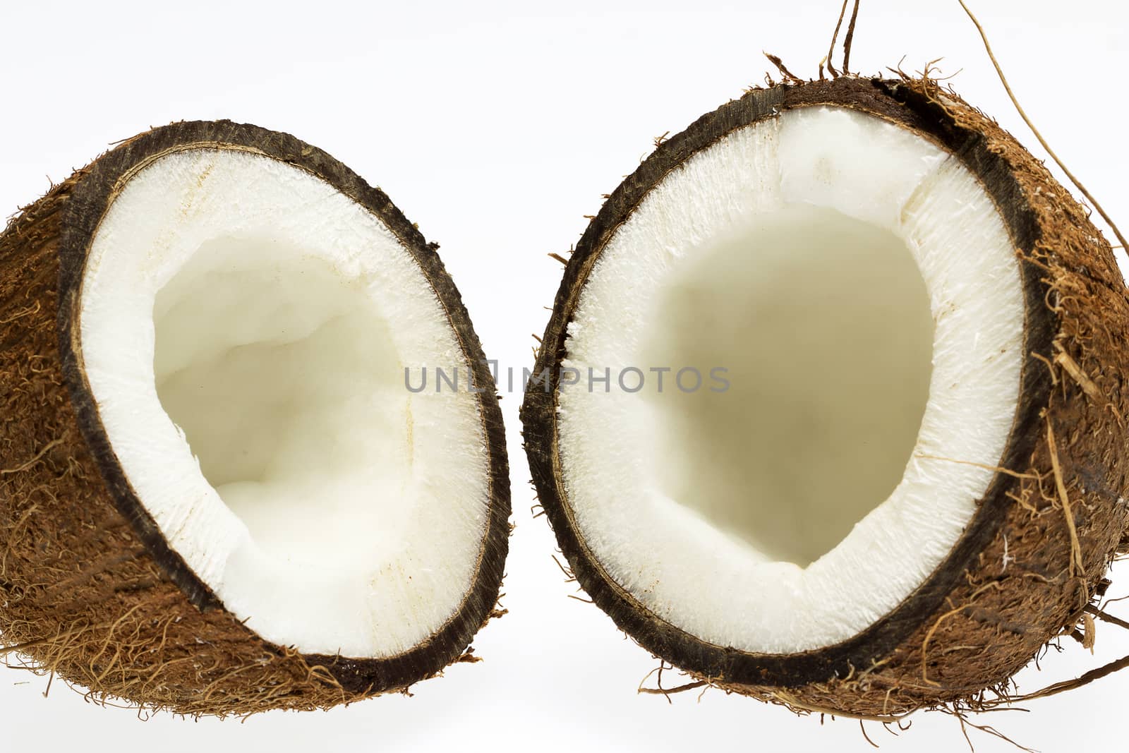 half of coconut with white core isolated on white background