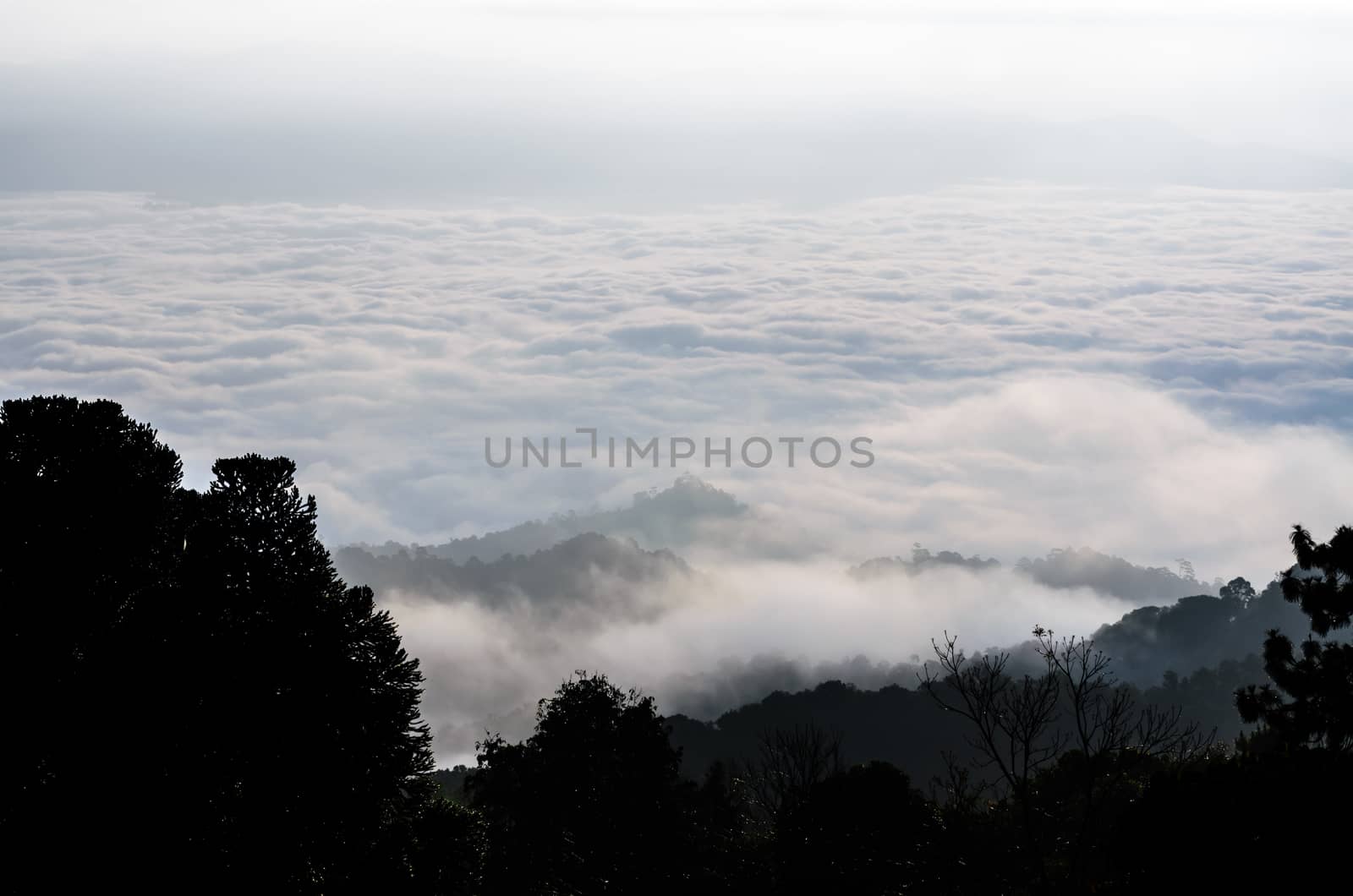 Landscape of cloud above cordillera in the morning from high mountain at viewpoint Huai Nam Dang national park, Chiang Mai and Mae Hong Son province, Thailand