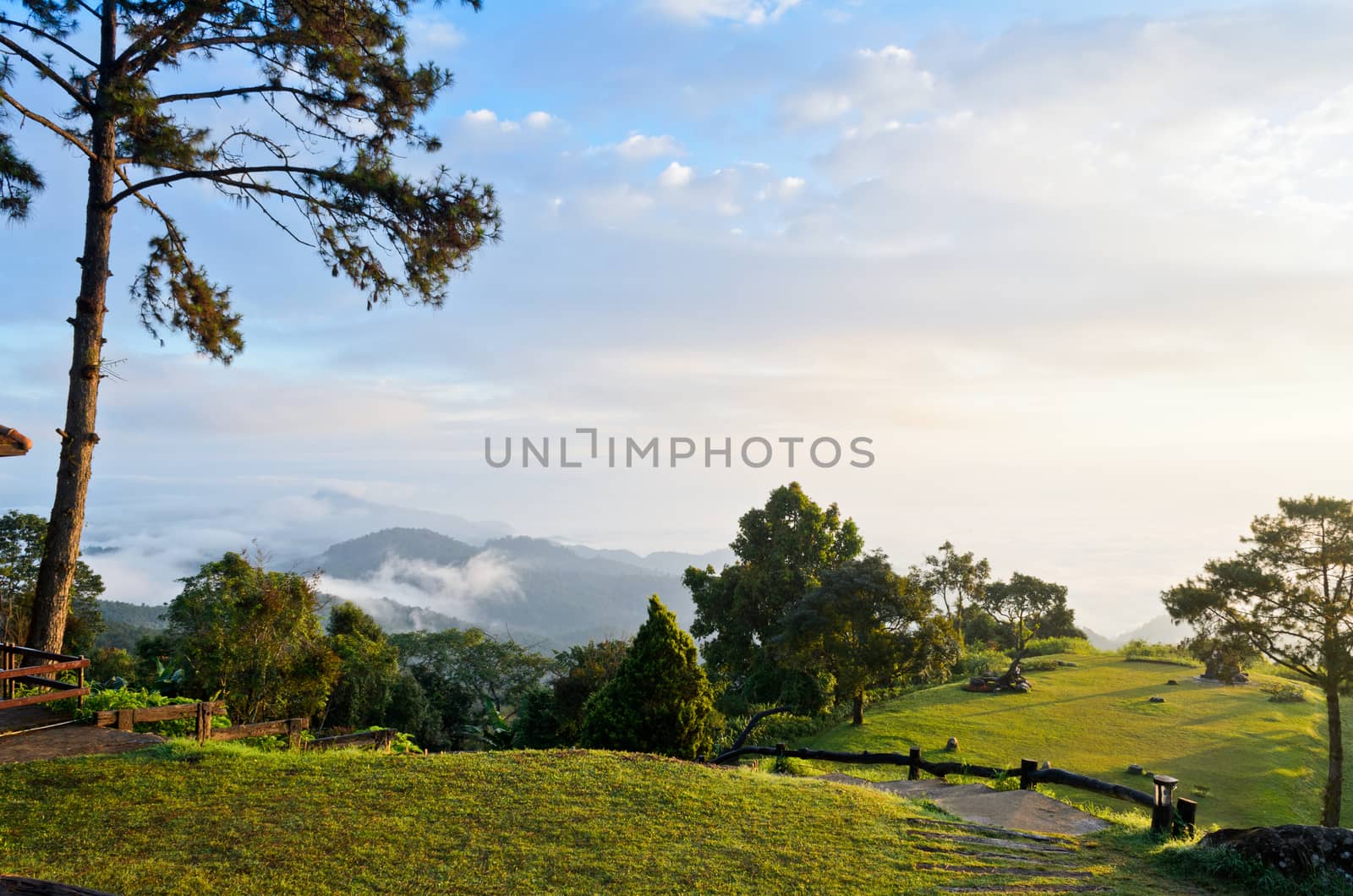 Landscape cordillera and cloud in the morning on high mountain at viewpoint Huai Nam Dang national park, Chiang Mai and Mae Hong Son province, Thailand