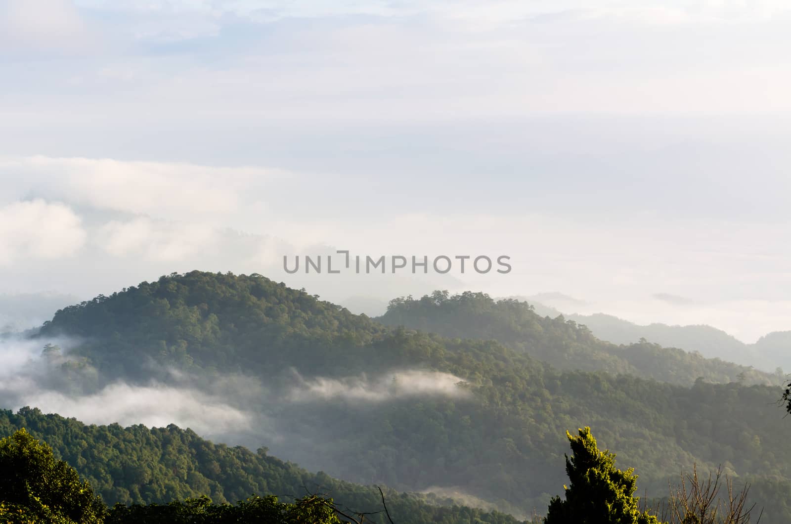 Landscape of cloud above cordillera in the morning from high mountain at viewpoint Huai Nam Dang national park, Chiang Mai and Mae Hong Son province, Thailand