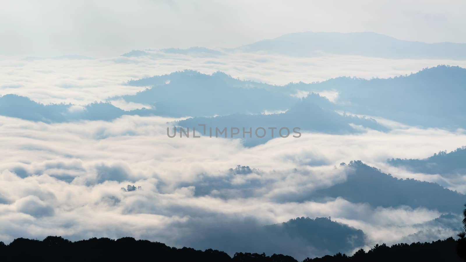 Landscape of cloud above cordillera in the morning from high mountain at viewpoint Huai Nam Dang national park, Chiang Mai and Mae Hong Son province, Thailand