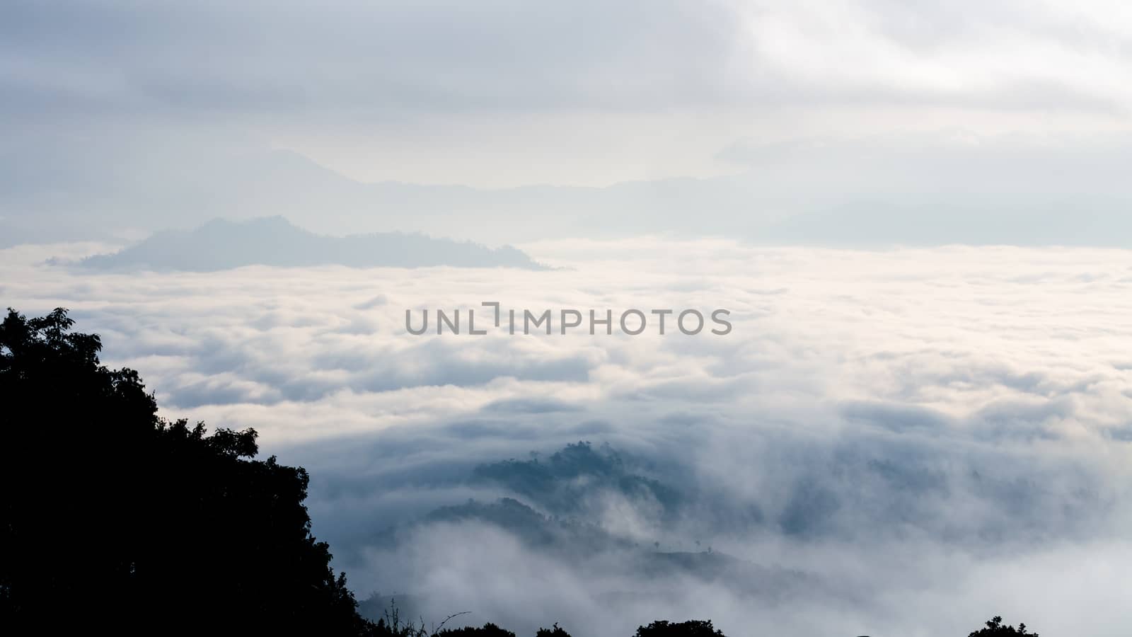 Landscape of cloud above cordillera in the morning from high mountain at viewpoint Huai Nam Dang national park, Chiang Mai and Mae Hong Son province, Thailand