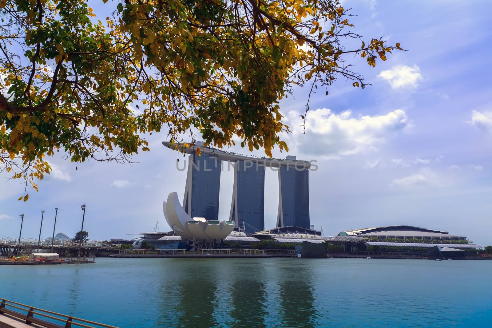 View to Marina Bay Sands Resort. by GNNick