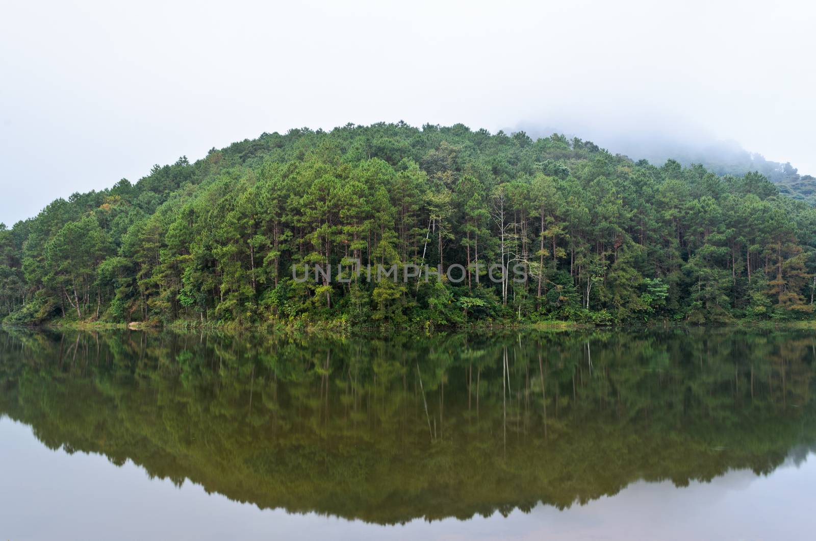 Nature landscape at dawn of lakes and pine forests in Pang Ung national park of Mae Hong Son province, Thailand