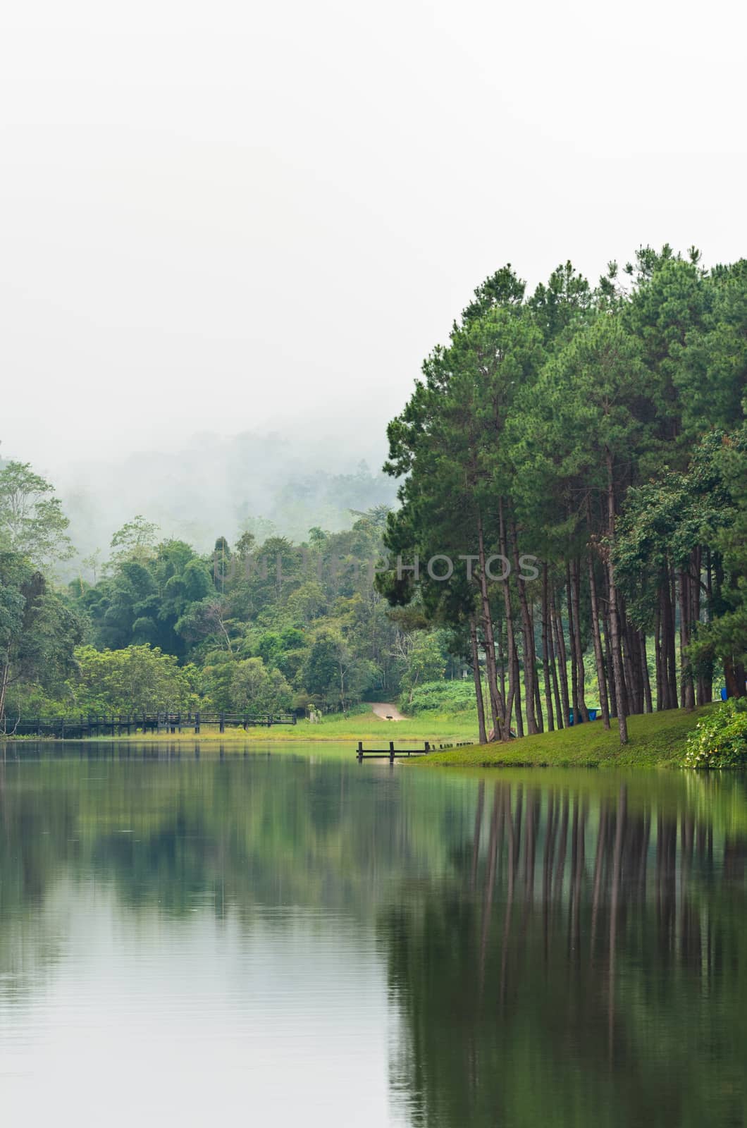 Nature landscape at morning of lakes and pine forests in Pang Ung national park of Mae Hong Son province, Thailand