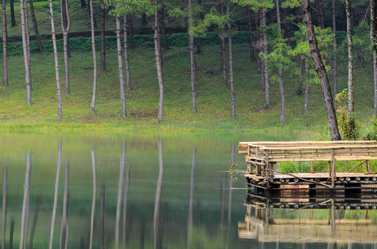 Pang Ung. Beautiful forest lake in the morning. Mae Hong Son. Thailand
