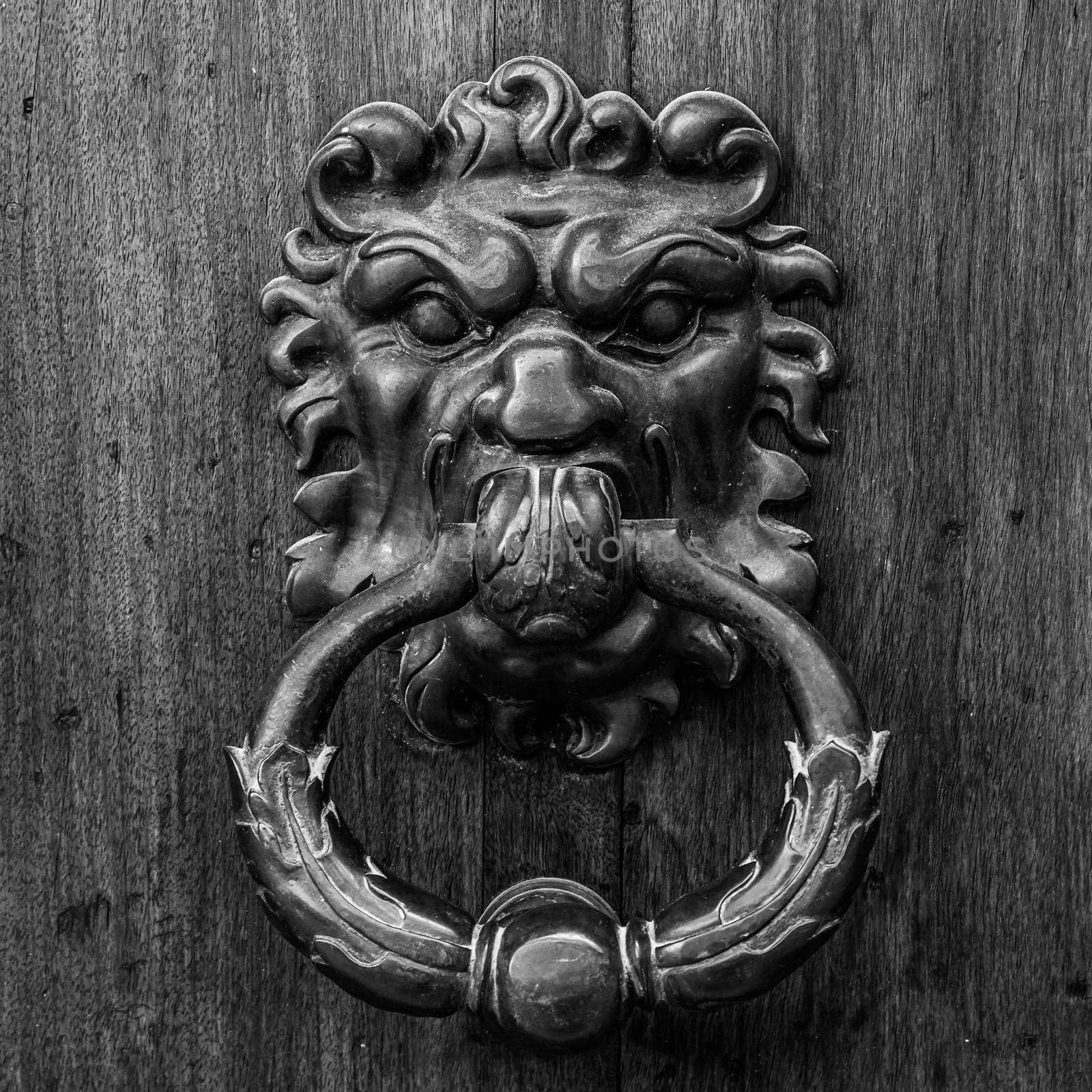 Door detail by Perseomedusa