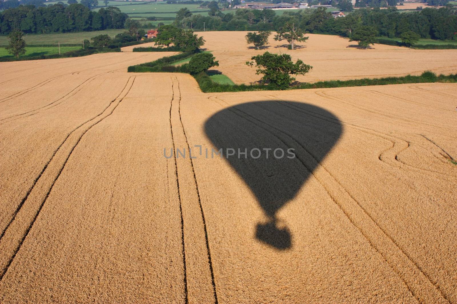 Shadow of a hot air balloon flying over rural farmland by chrisga