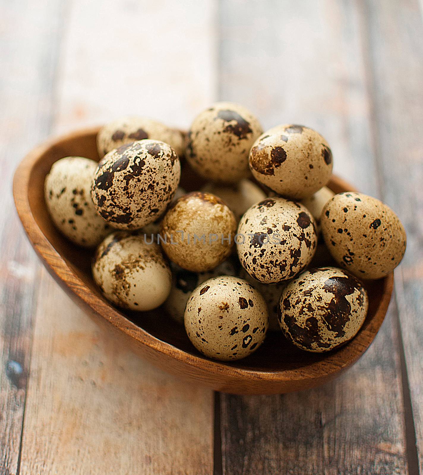 healthy fresh organic quail eggs