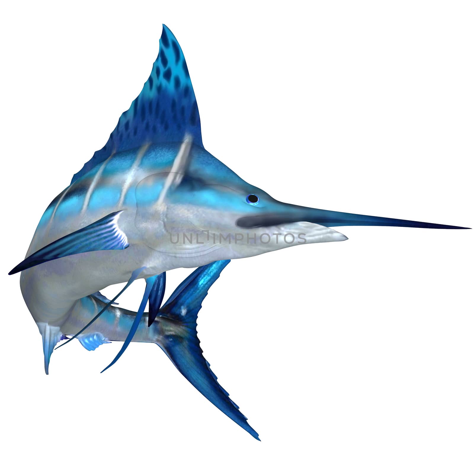 Blue Marlin Ocean Fish by Catmando