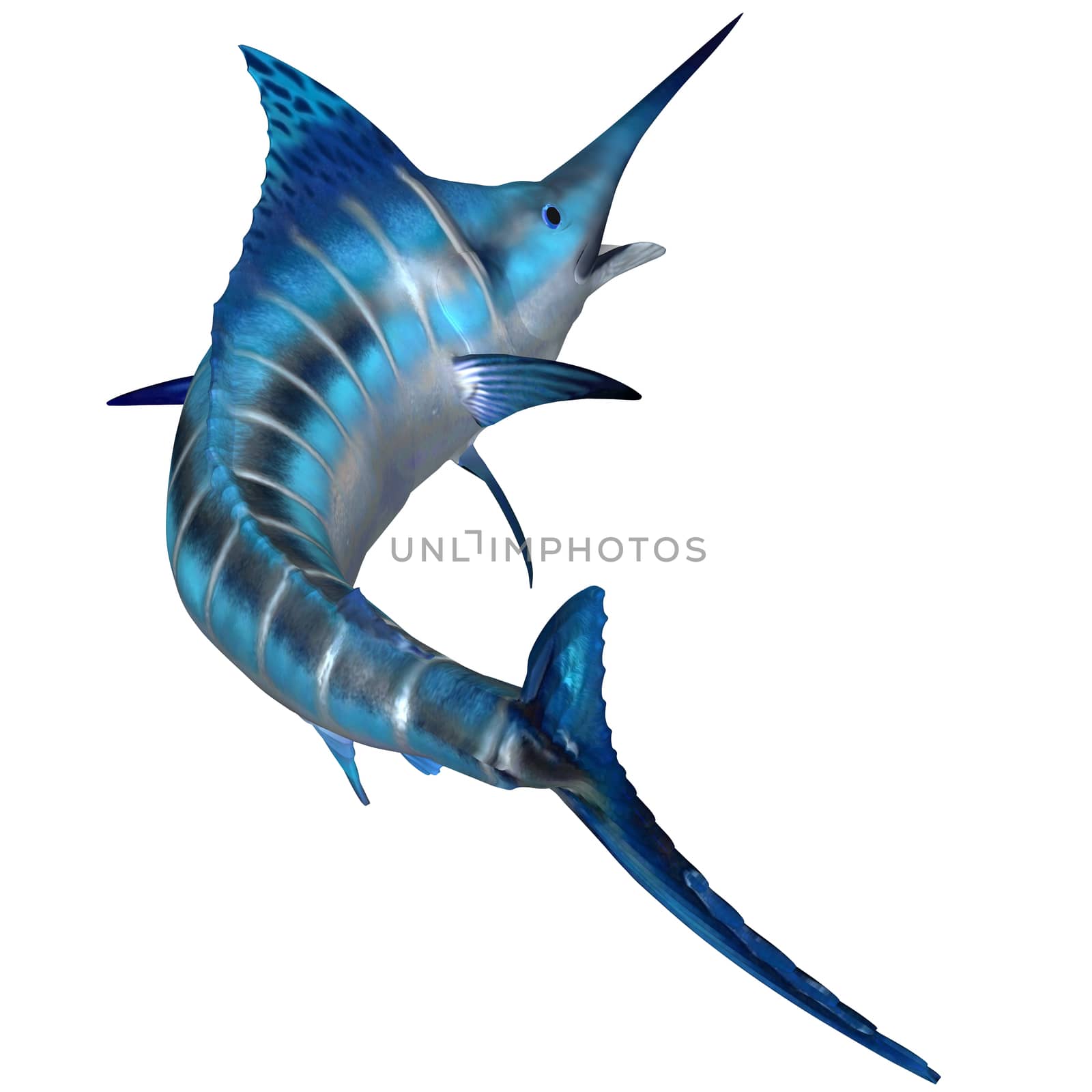 Blue Marlin Predator by Catmando