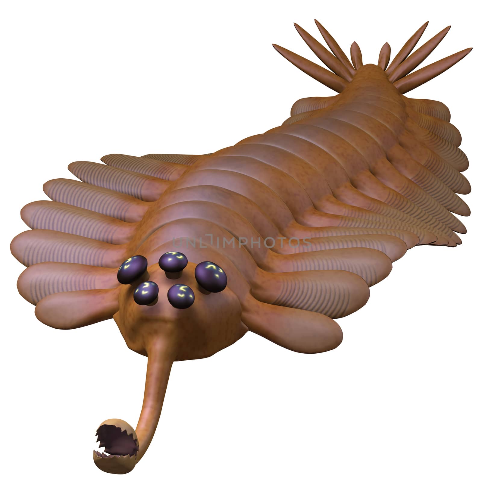 Opabinia is a small predator of Cambrian seas and hunted worms and soft bodied prey with its proboscis.