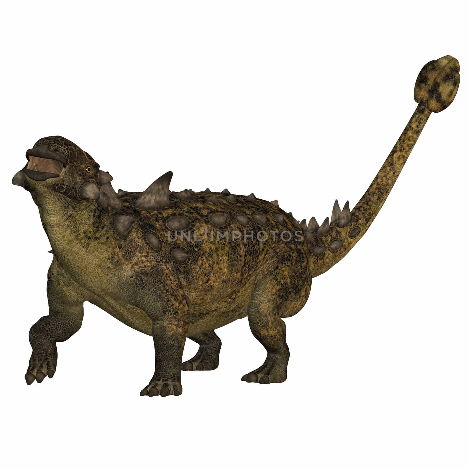 Herbivorous Euoplocephalus had a body full of armor and used its long tail and club for defense.