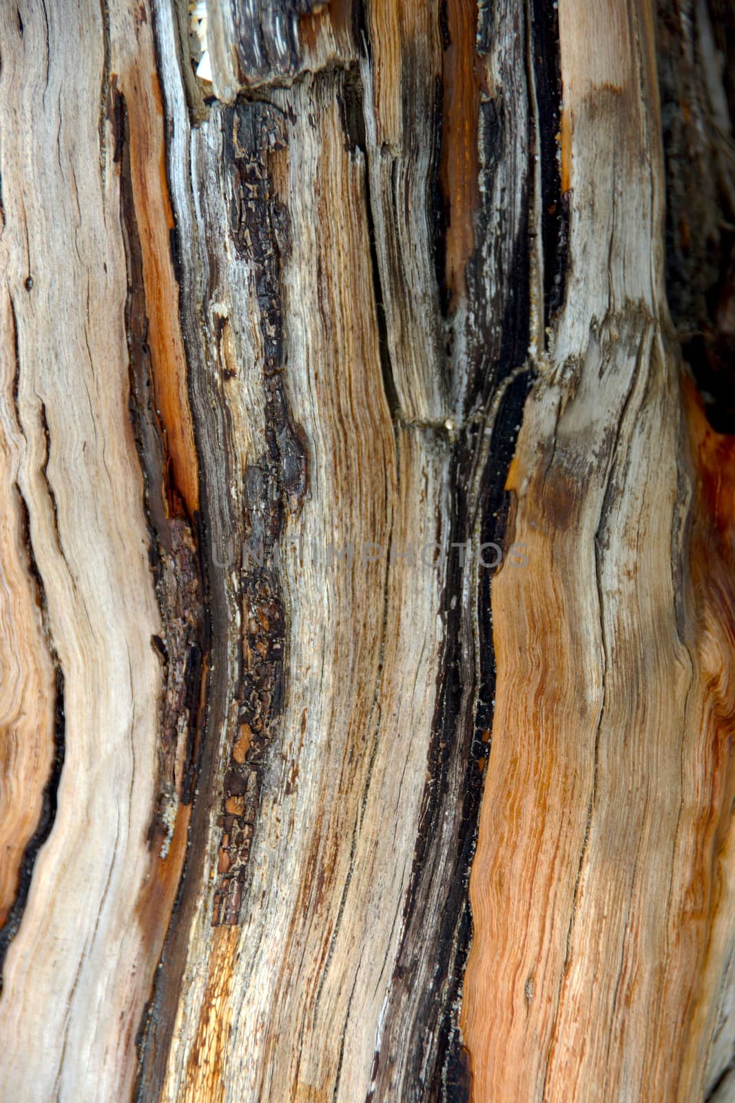 Old wooden surface.