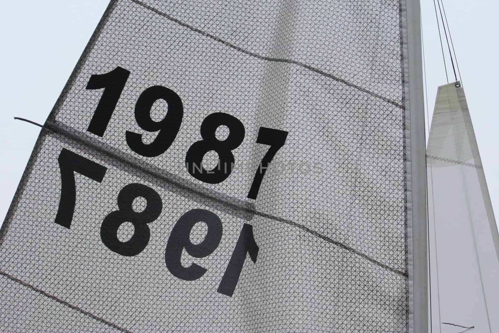 sails flapping in the breeze with number 1987