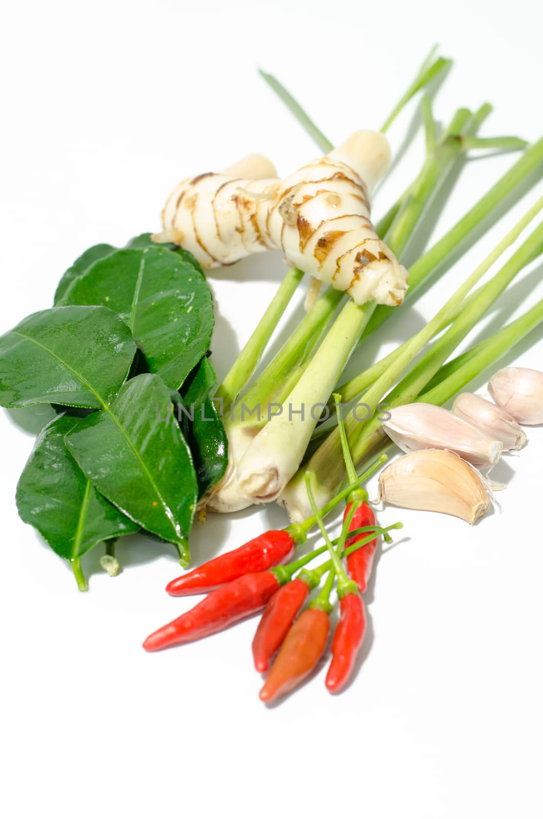 Herbs and spices set to make tom yum spicy soup