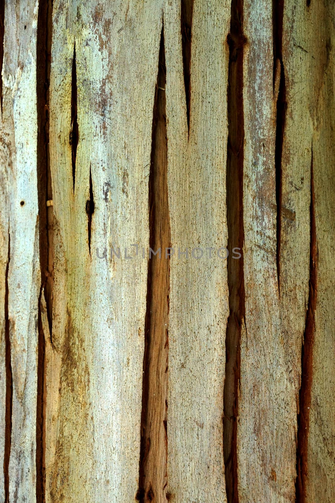 Seamless Tileable Texture.