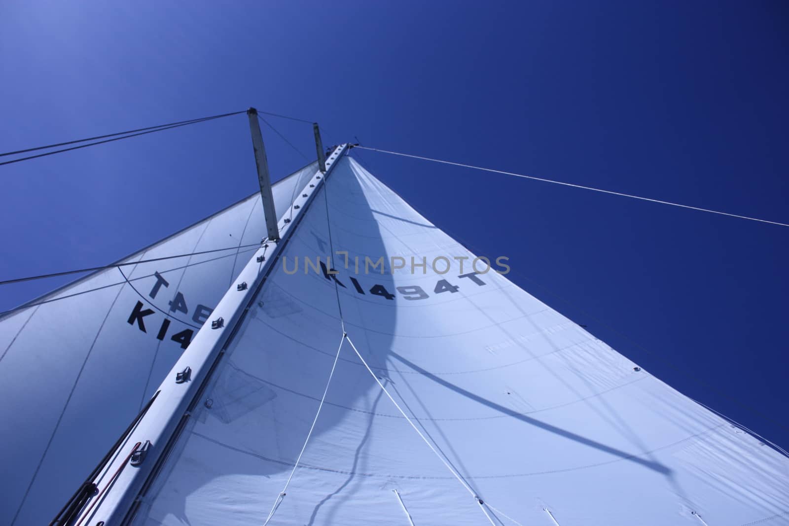 yacht sails and rigging viewed from the deck below