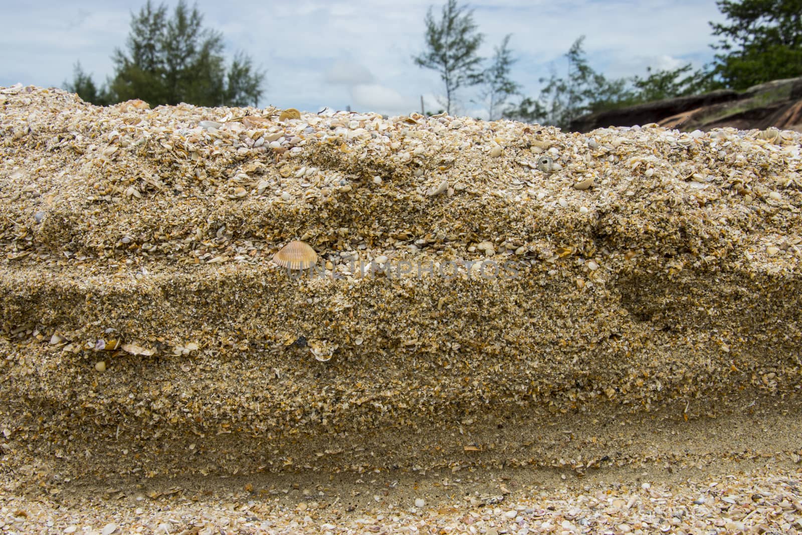 Rocks and sea. Empty shells.