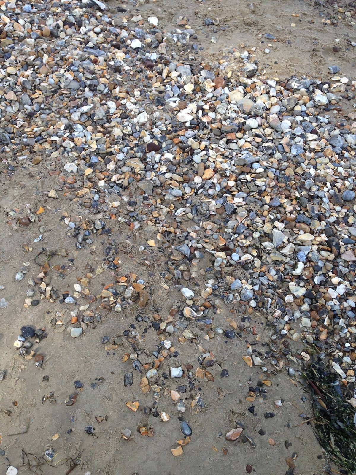 wet rocks on a sandy beach
