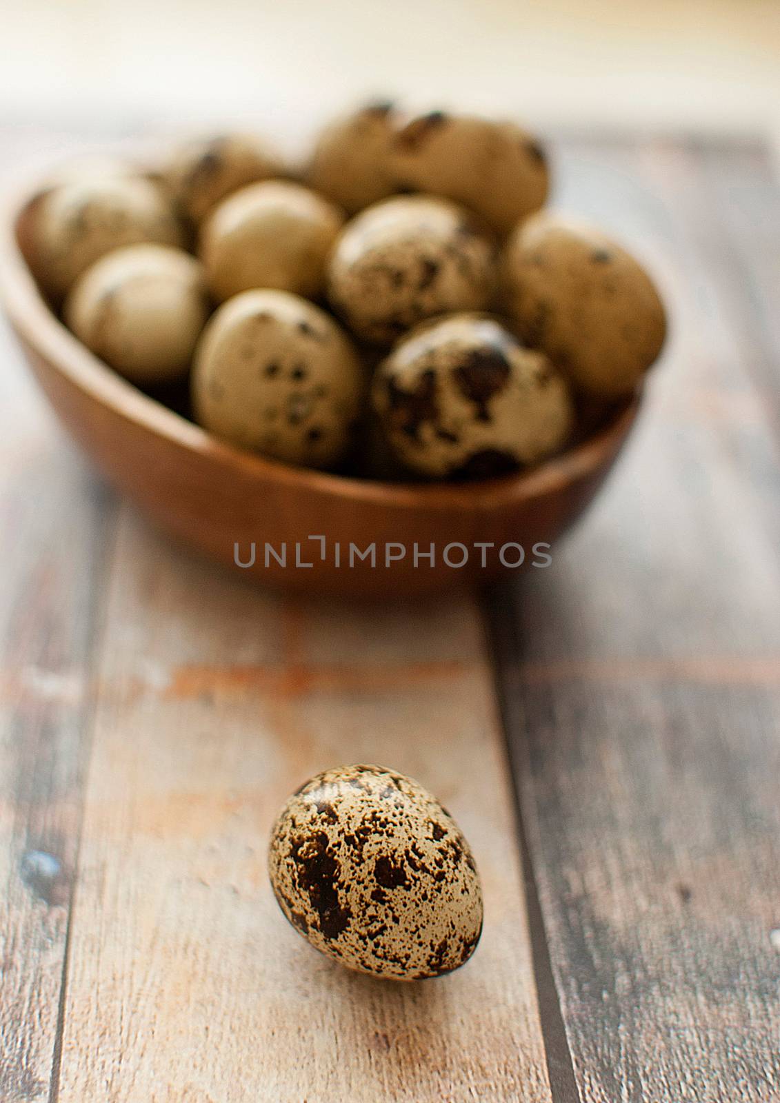 quail eggs by Dessie_bg