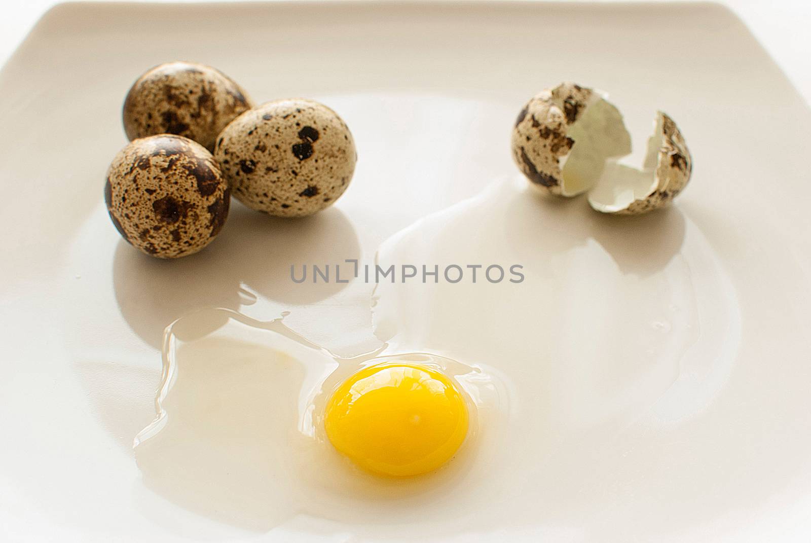 healthy fresh organic quail eggs