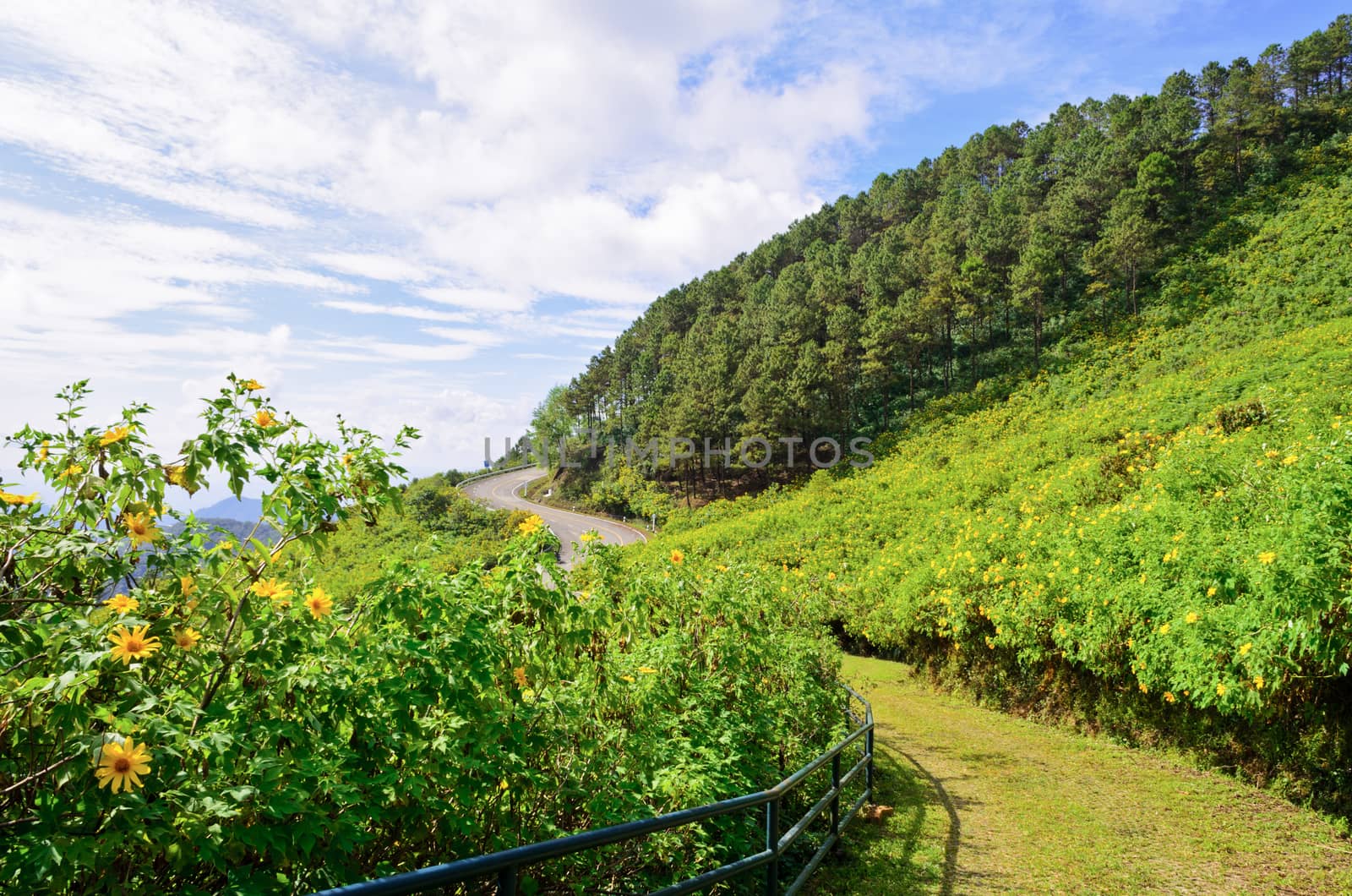 Scenic nature Doi Mae Uko mountain at Mae Hong Son province in northern of Thailand.