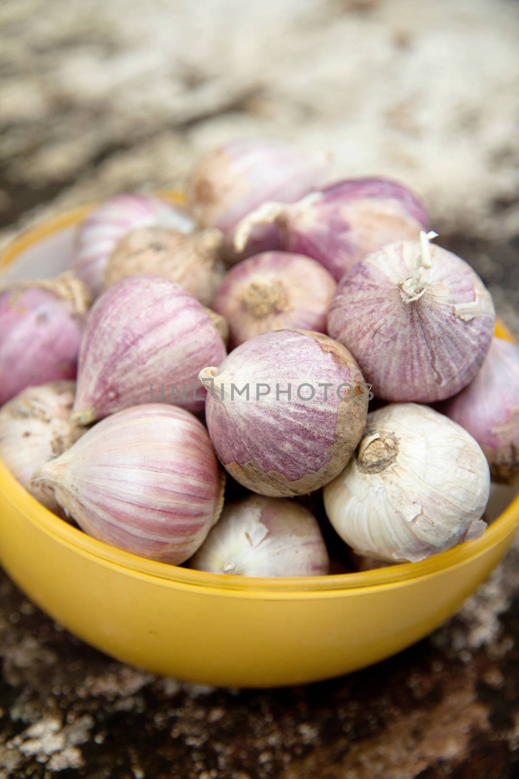 close up of fresh organic garlic background