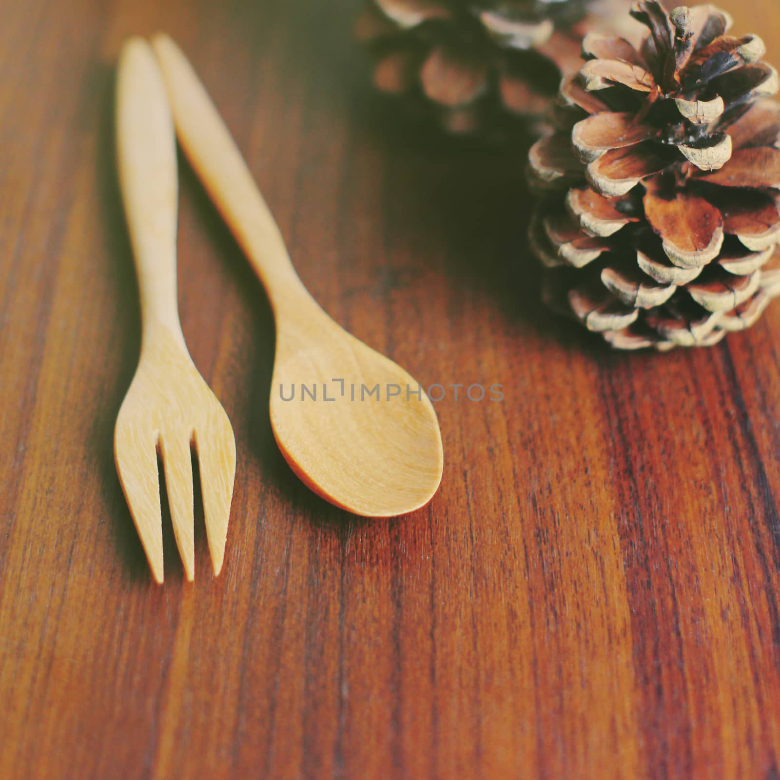 Wooden spoon and fork with pine cone, retro filter effect by nuchylee
