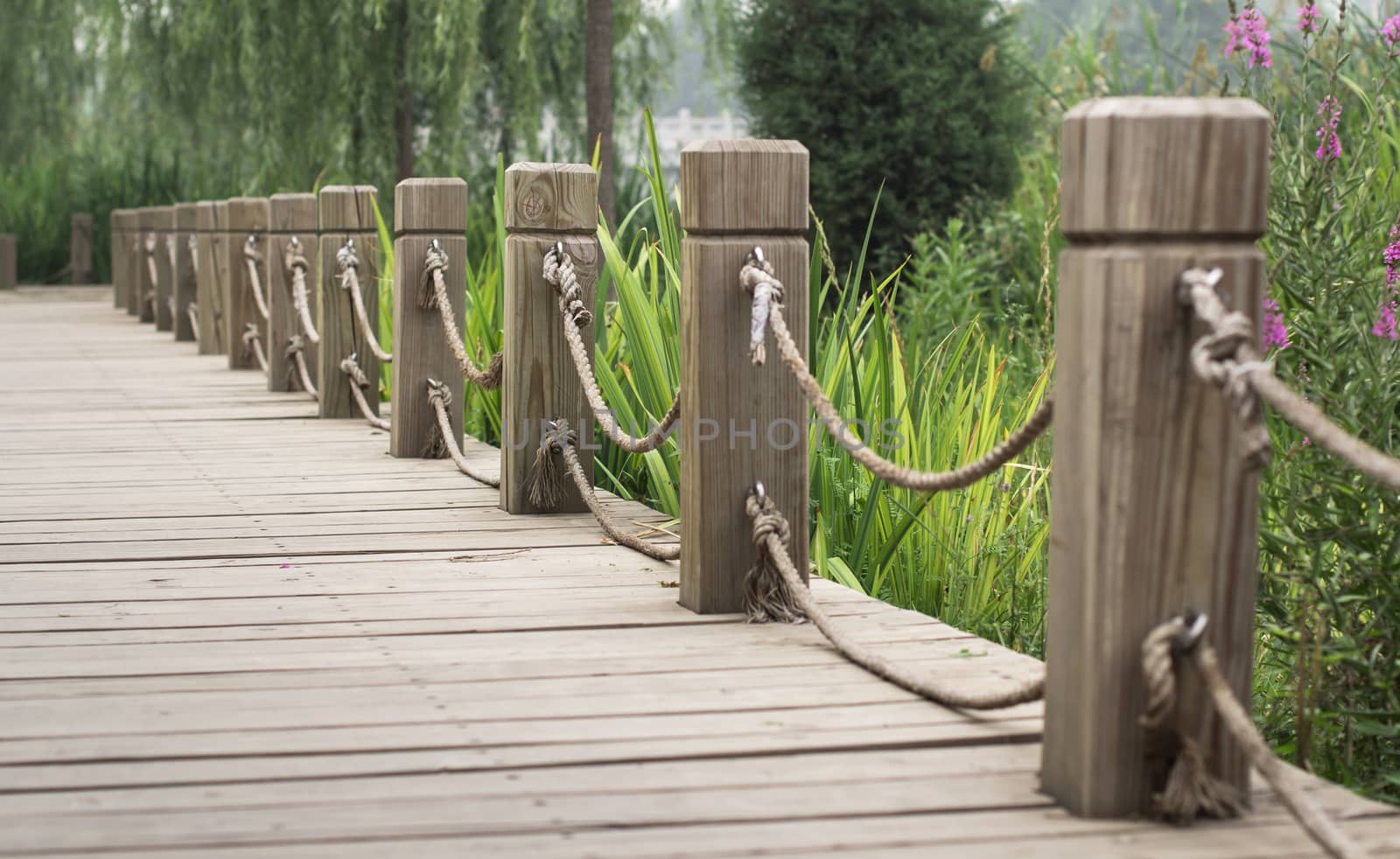 wooden path with railing in the park