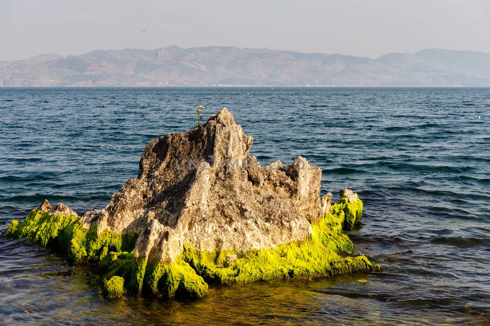 Fuxian lake by JasonYU