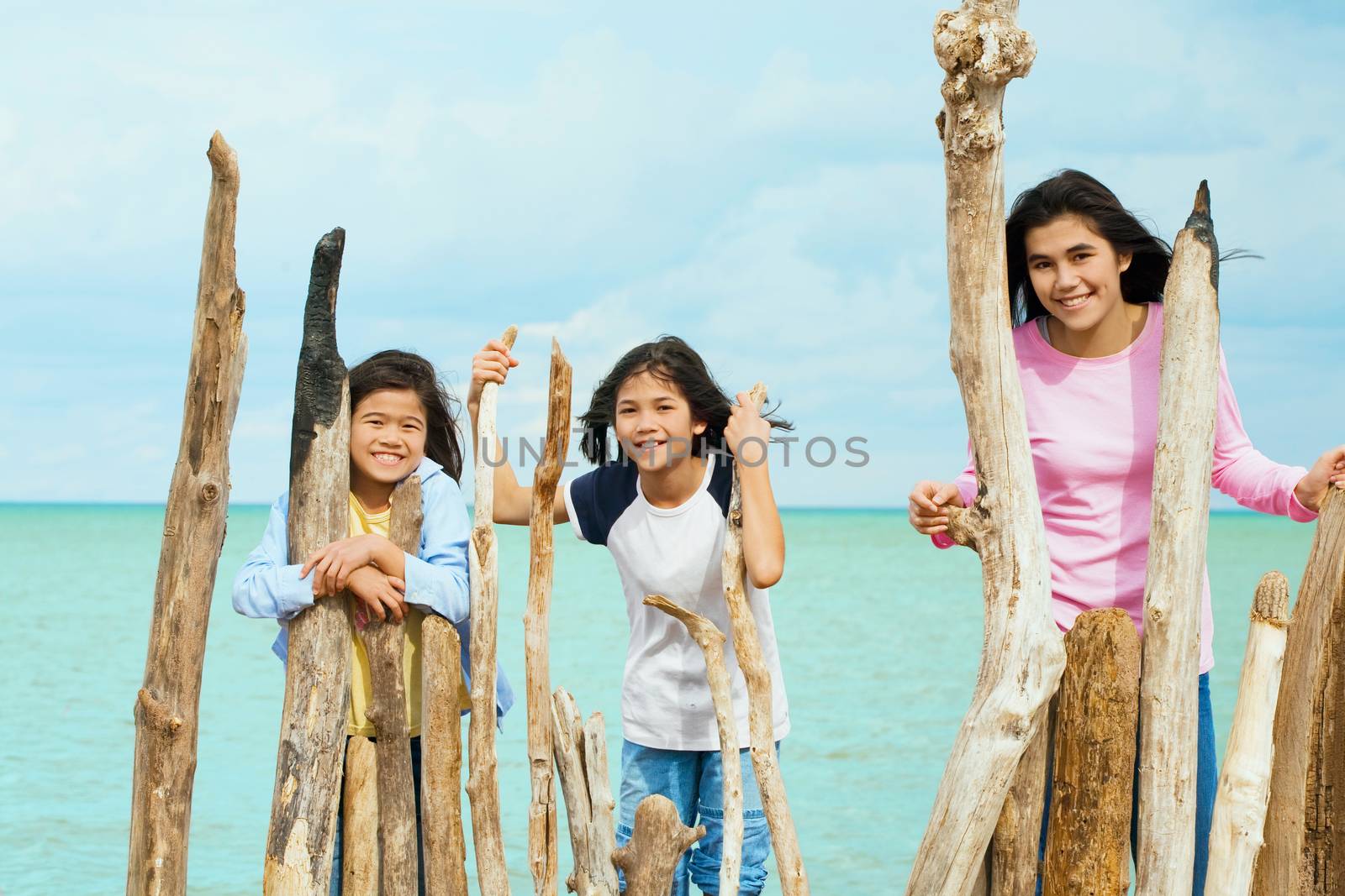 Three sisters playing by the lake shore in summer, by logs